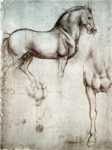 Several of Leonardo's Horse Sketches